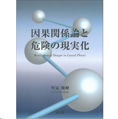 因果関係論と危険の現実化