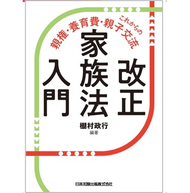 改正家族法入門 これからの親権・養育費・親子交流