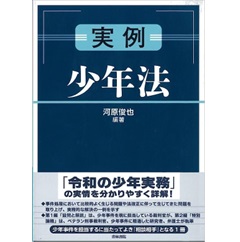 実例 少年法