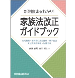 新制度まるわかり！家族法改正ガイドブック 共同親権・養育費の支払確保・親子交流・未成年養子縁組・財産分与