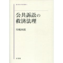 公共訴訟の救済法理