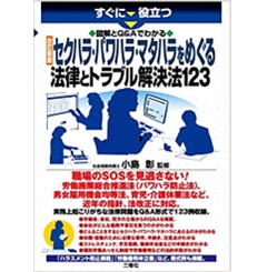 改訂新版 図解とQ&Aでわかる セクハラ・パワハラ・マタハラをめぐる法律とトラブル解決法123