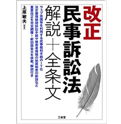 改正民事訴訟法 解説+全条文