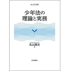 少年法の理論と実務 (南山大学学術叢書)