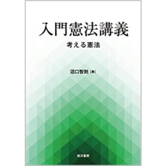 入門憲法講義　考える憲法