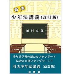 骨太少年法講義(改訂版)